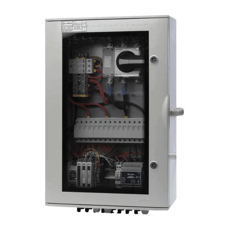 ISA0801CA10 — CABUR&nbsp;