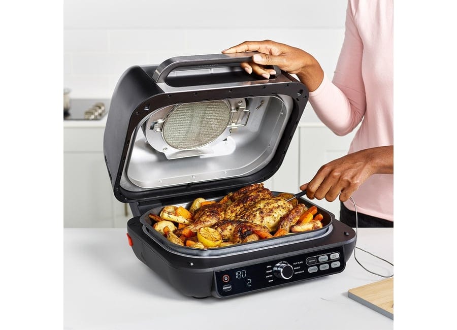 Ninja-AG651UK-model-probe-chicken
