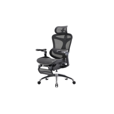 SIHOO Doro-C300 Ergonomic Office Chair