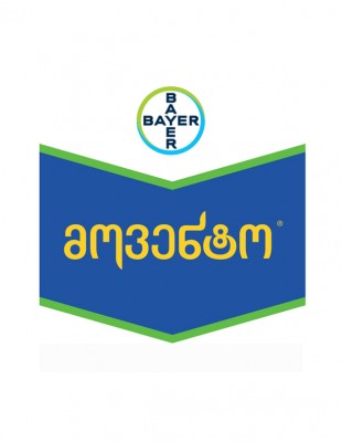 444e1b4a69f98bed66c2e4038993b8fd94c7bb58efc3b337800875b5d382a072-movento-310x400-1