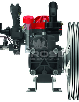 75a67f5a05f55a8bc366f563330d49dbb2005ea31710de47466d9e53068edc71-199d1117fe917f9653cf7d86e159e88e-310x400-1