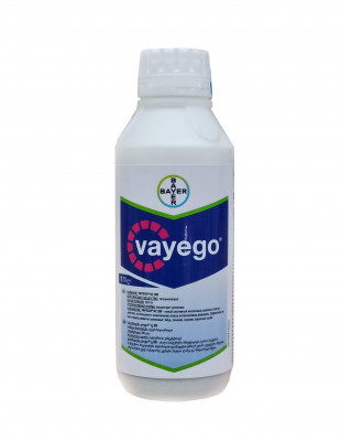 a2044576f9118f4ac45ad1c15151aabe94351bc971eb5aab6a0cdc84227a6af3-vaiego1-310x400-1