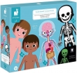 66cc505c4f6a0_644140056fdd8_educational-puzzle-human-body