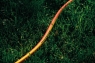 67249dbf84cbb_ab_04635