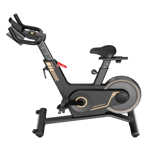 velo-trenajori-kingsmith-pb08s-bike-walkingpad-spinning-bike-black-7-removebg-preview