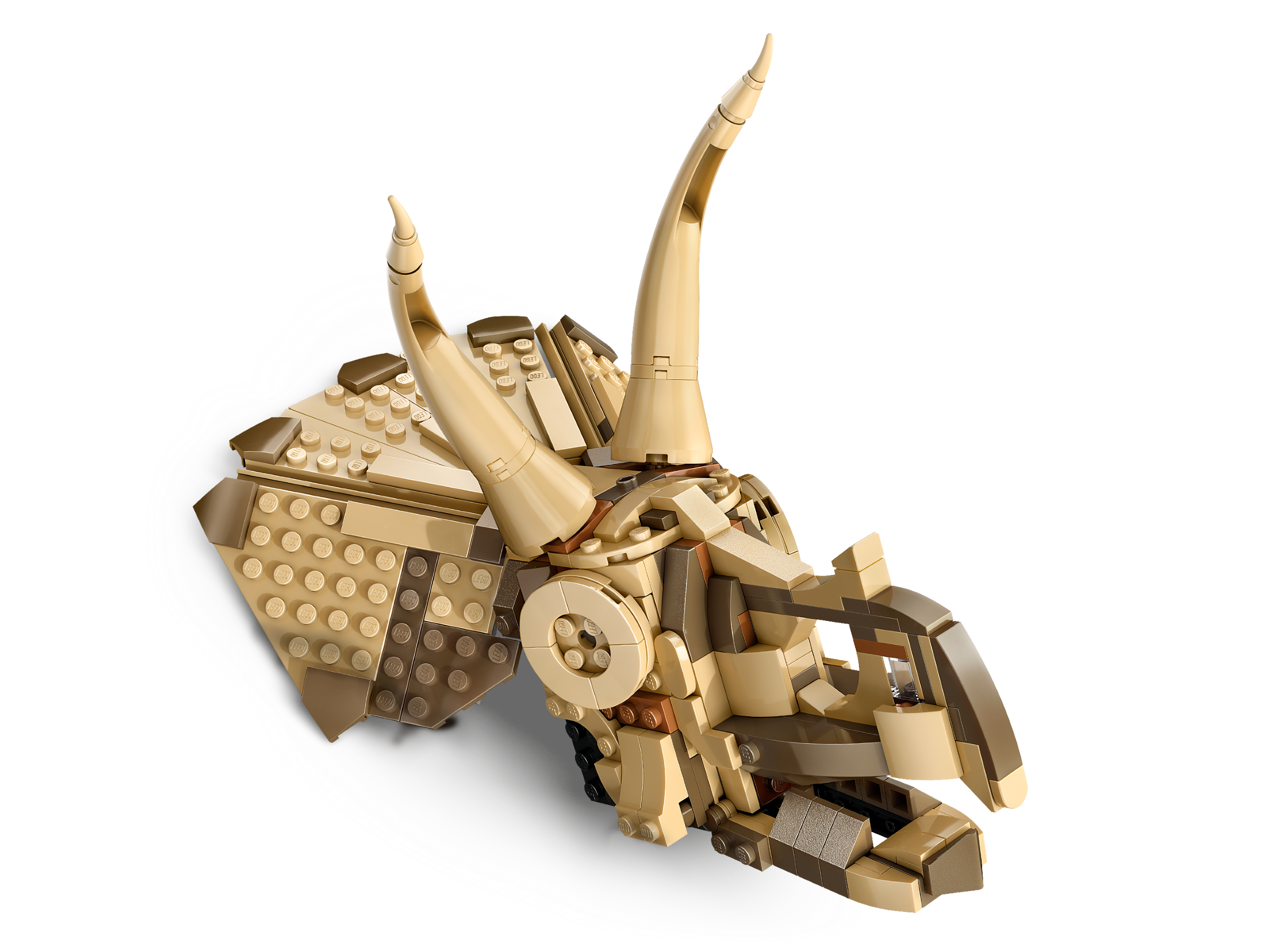 76969_WEB_SEC01_NOBG.png